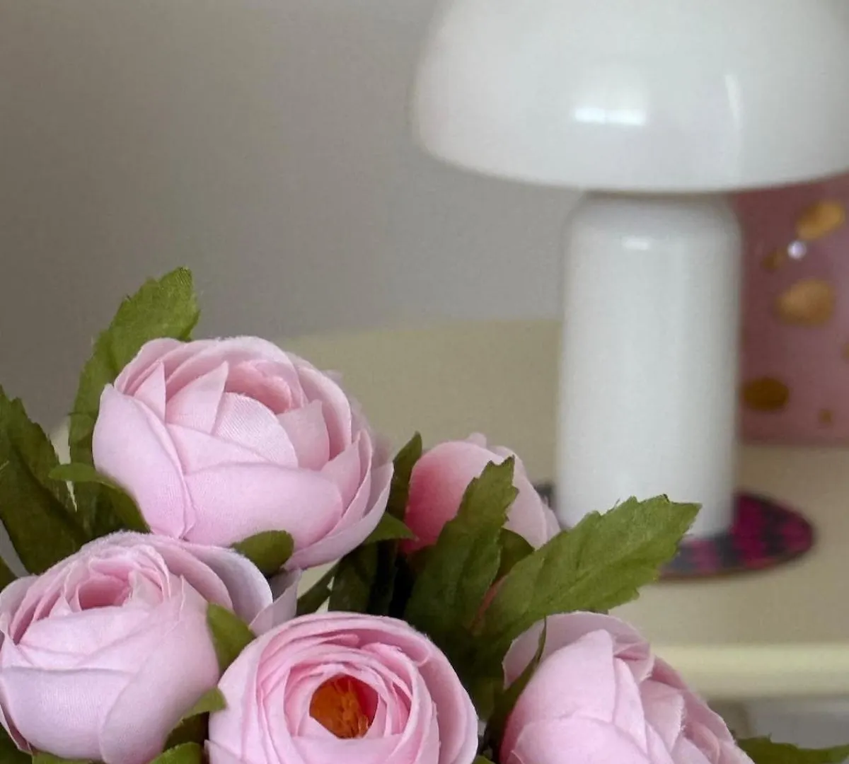 Blush Spot Daire Vannes Fransa
